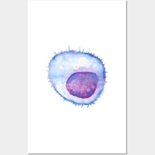 B cell WBC white blood cell Posters and Art